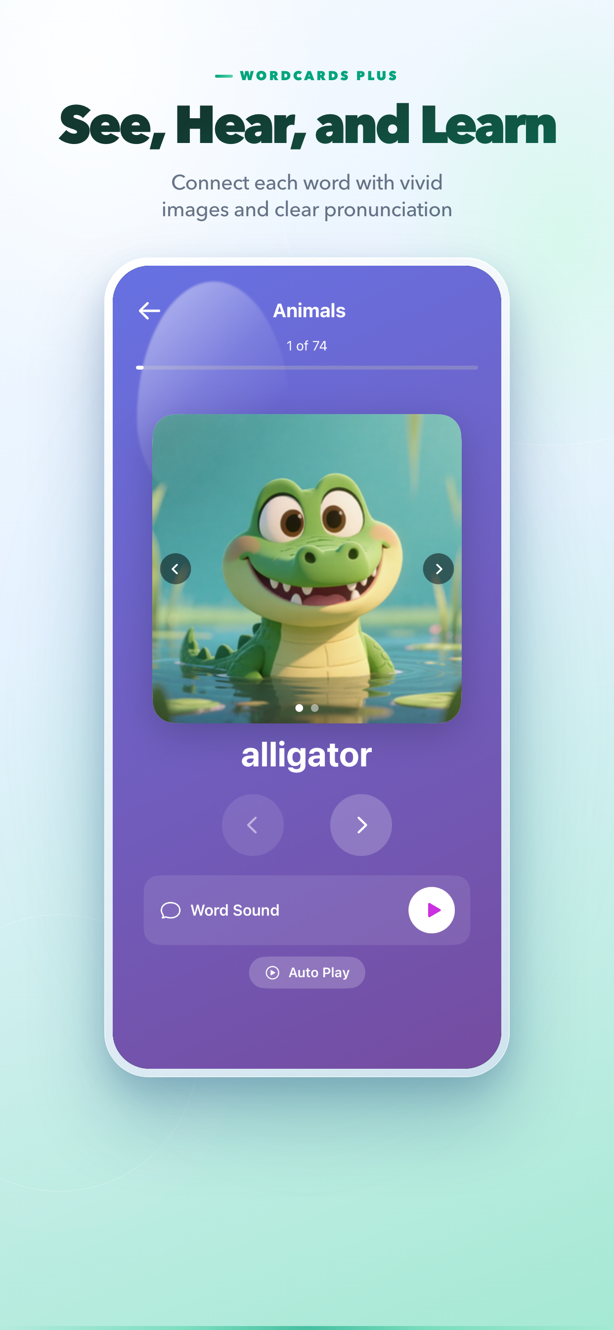 WordCards Plus